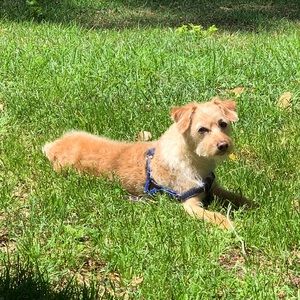 Meet your Posher, Jim